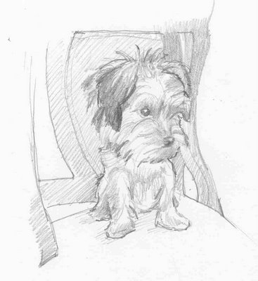 Sketch_of_twinks