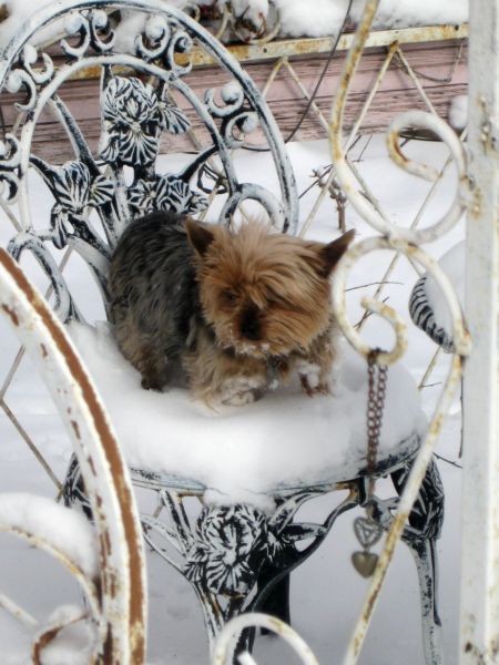 Snowday_004