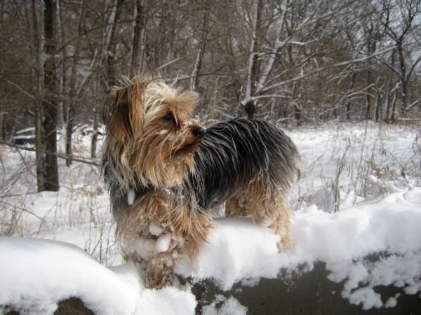 Snowday_007