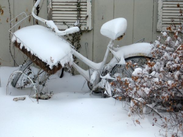 Snowday_009