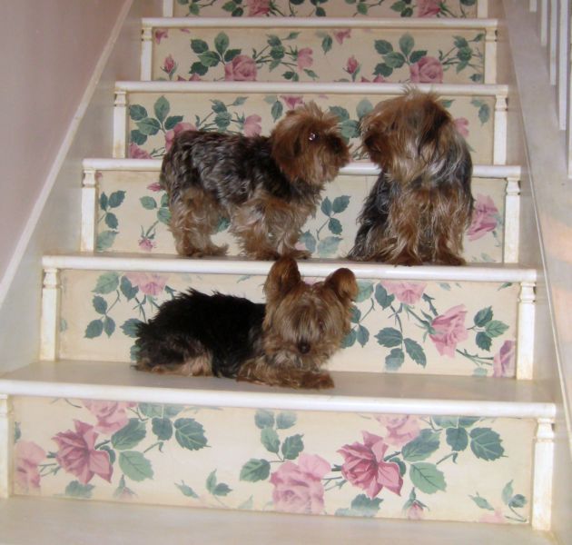Stairway_redo_074_2