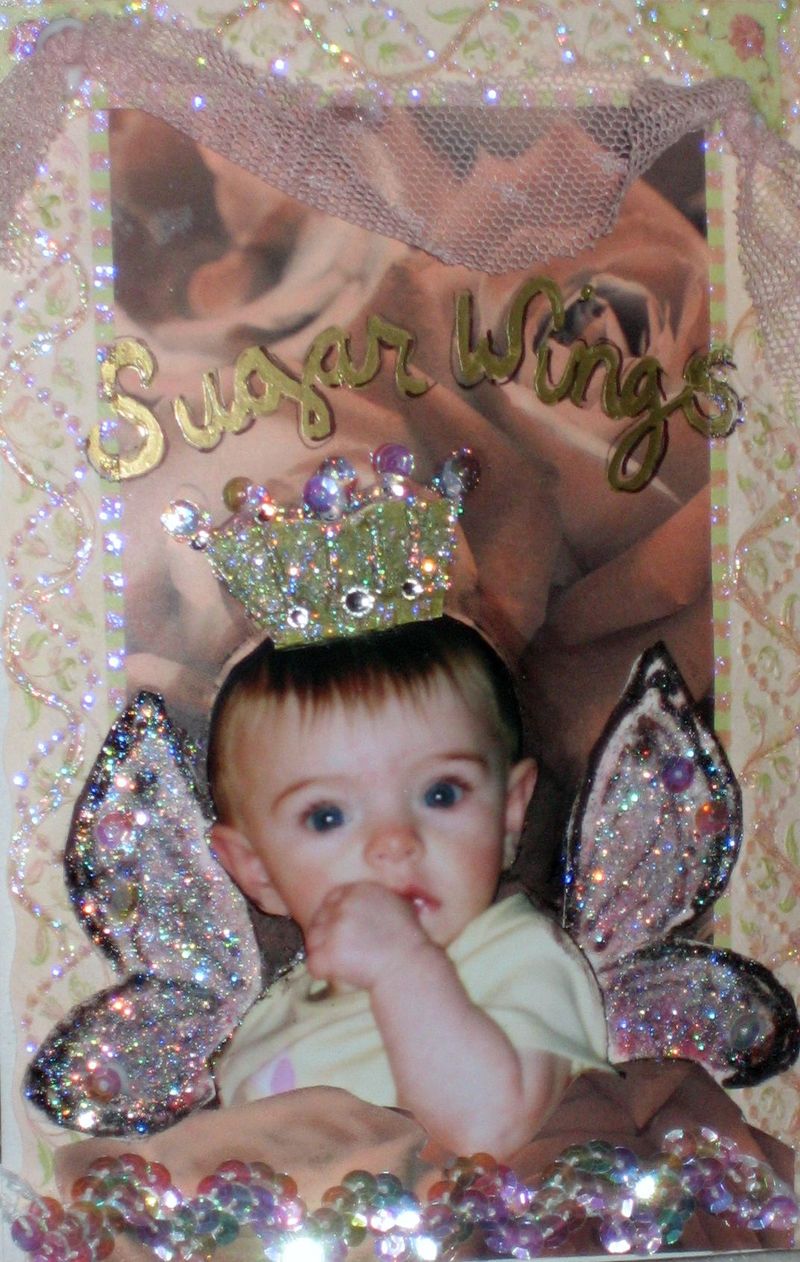 Sugar_wing_pictures_005