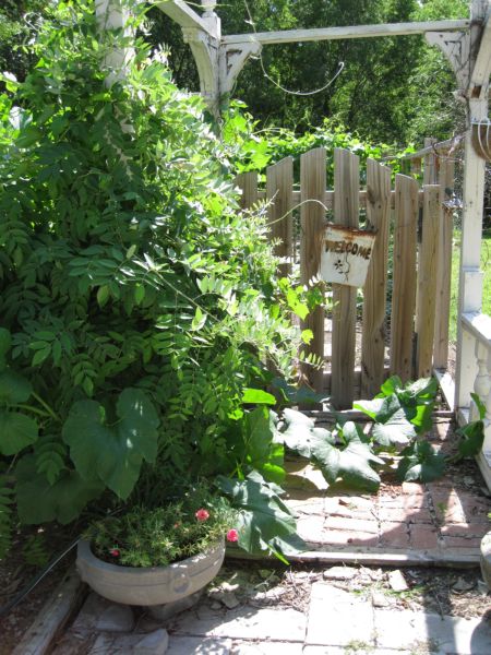 Summer_garden_and_gifts_010