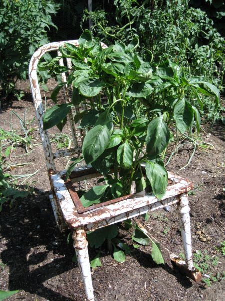 Summer_garden_and_gifts_013