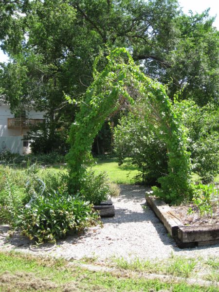 Summer_garden_and_gifts_022