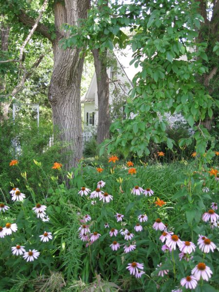 Summer_garden_and_gifts_023