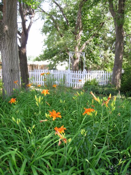 Summer_garden_and_gifts_024