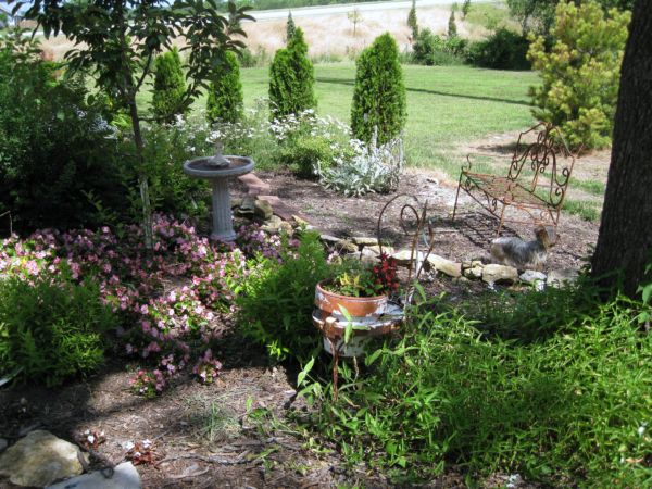 Summer_garden_and_gifts_035