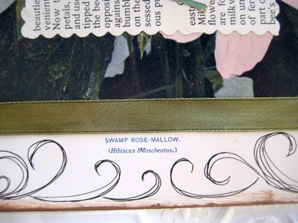 Sweat_treats_and_roses_007