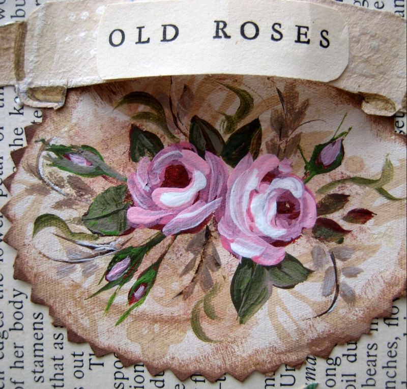 Sweat_treats_and_roses_094