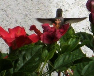 Trip_to_palm_springs_038