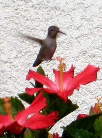 Trip_to_palm_springs_041