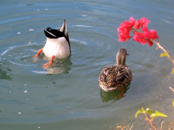 Trip_to_palm_springs_084