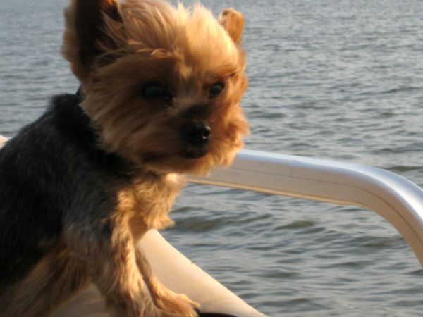 Tubing_016