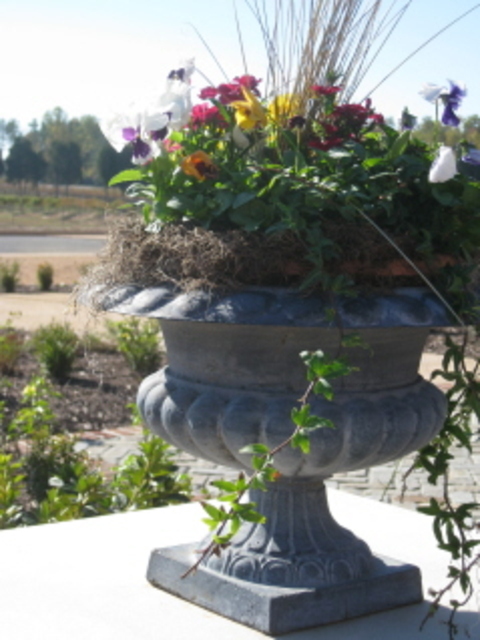 Urn