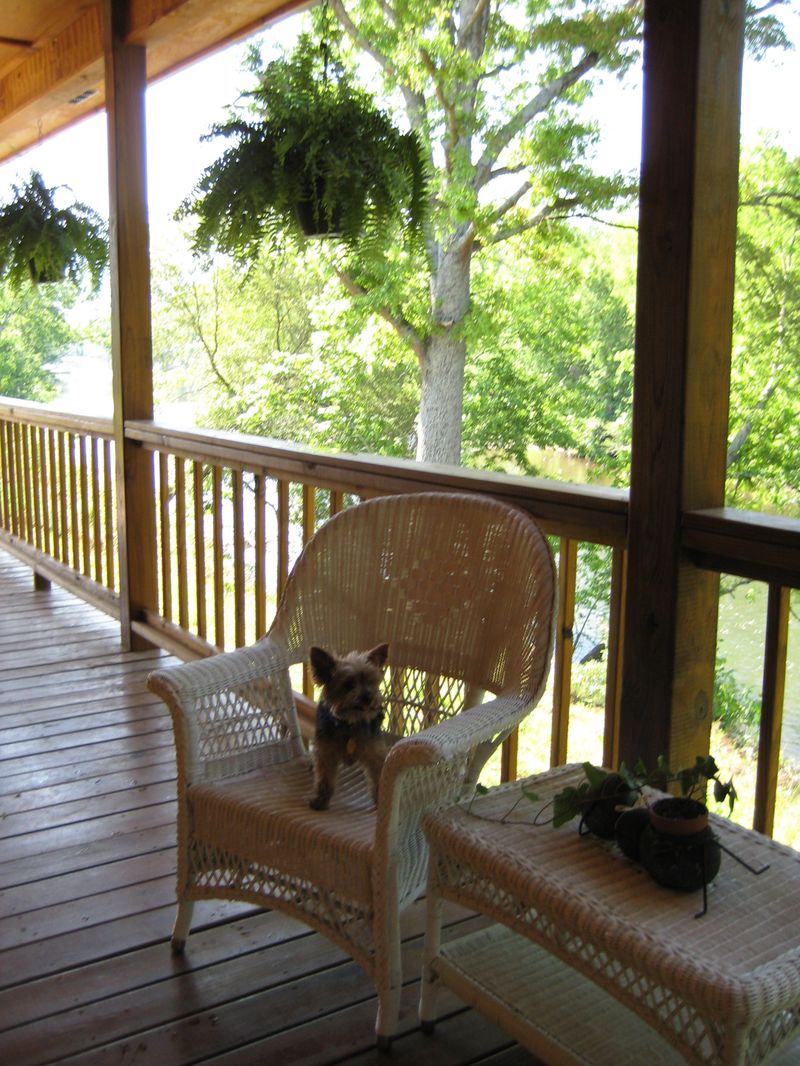 Vacation_tn_nc_in_006