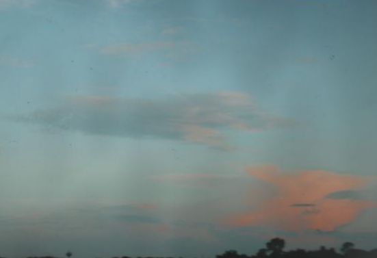 Yorkie_sky